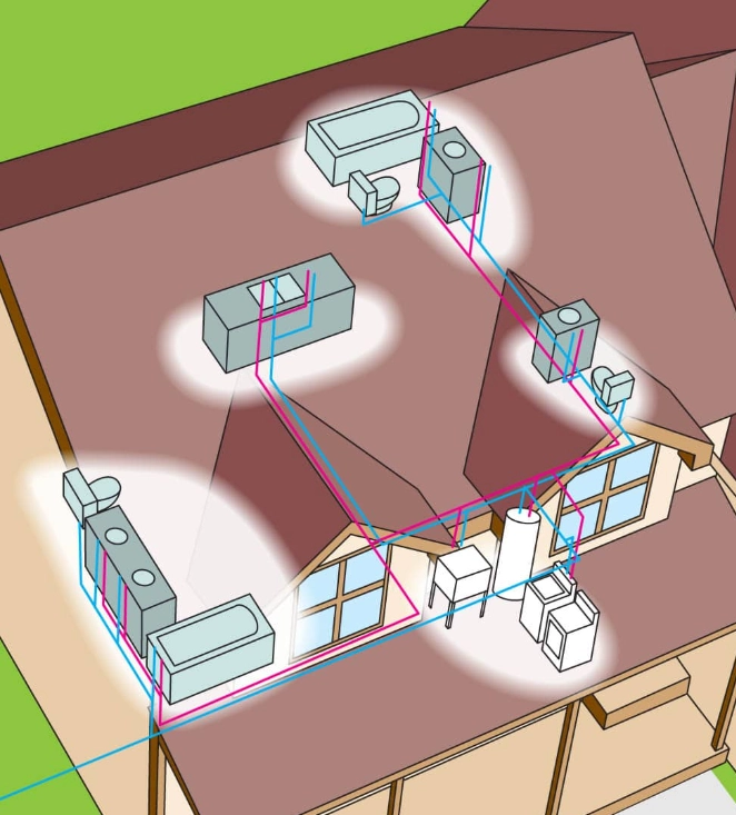 Trunk-Branch Trunk-Branch
